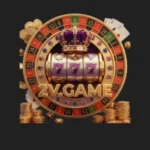 2V
